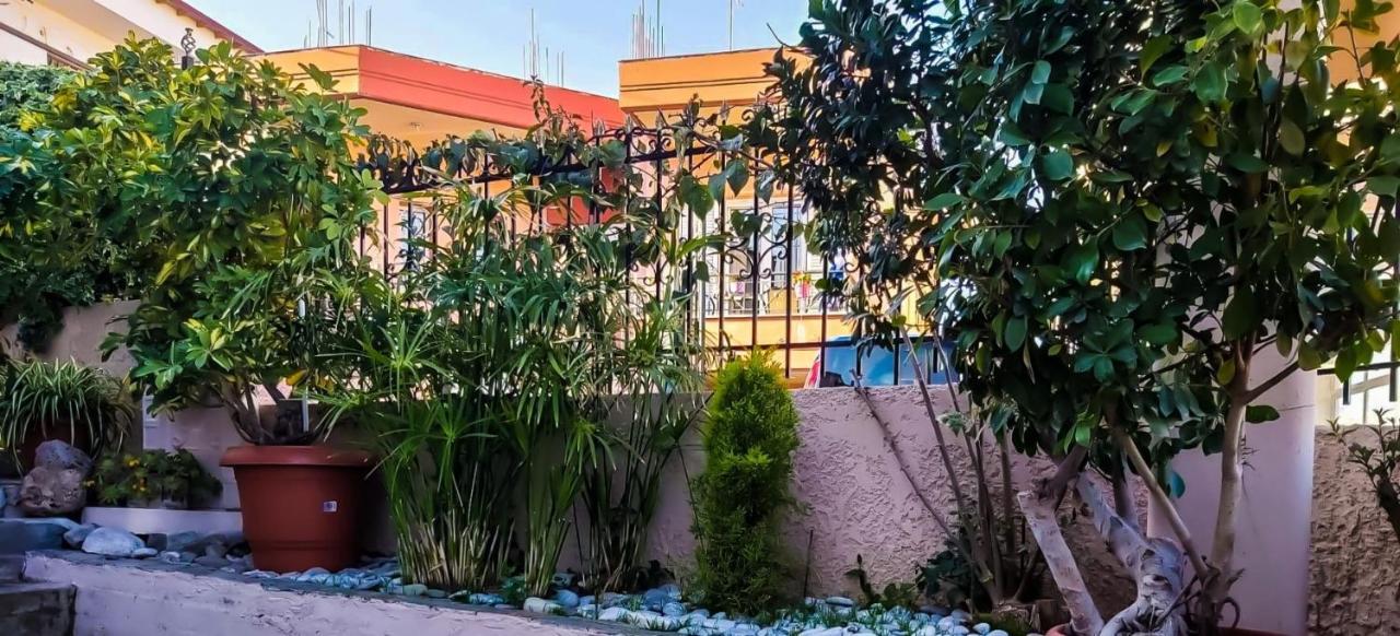 West Garden At Aigio By Greece Apartments Kültér fotó